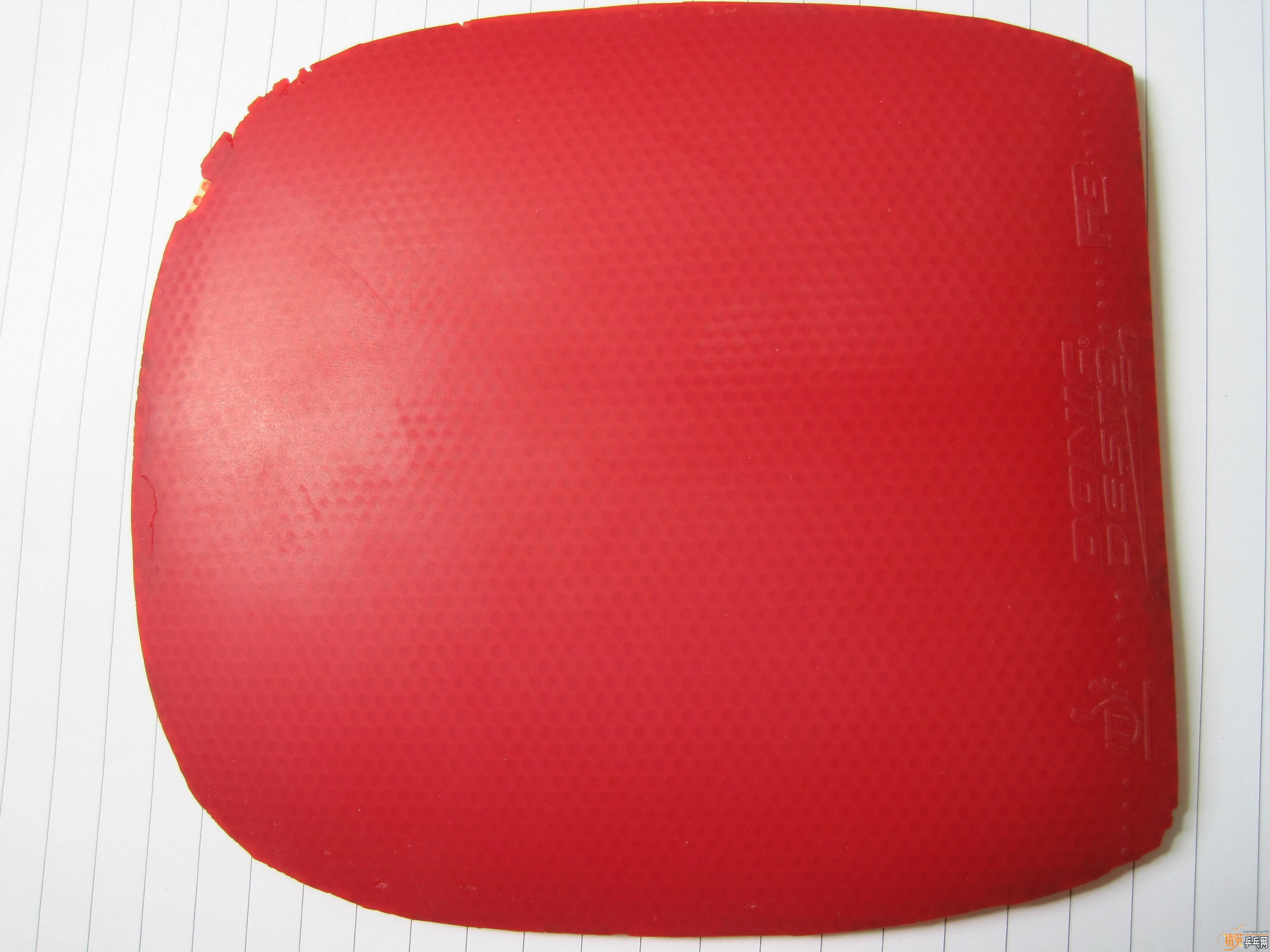 ����ֱ�׽����飨ROXON 500��F1��G3)