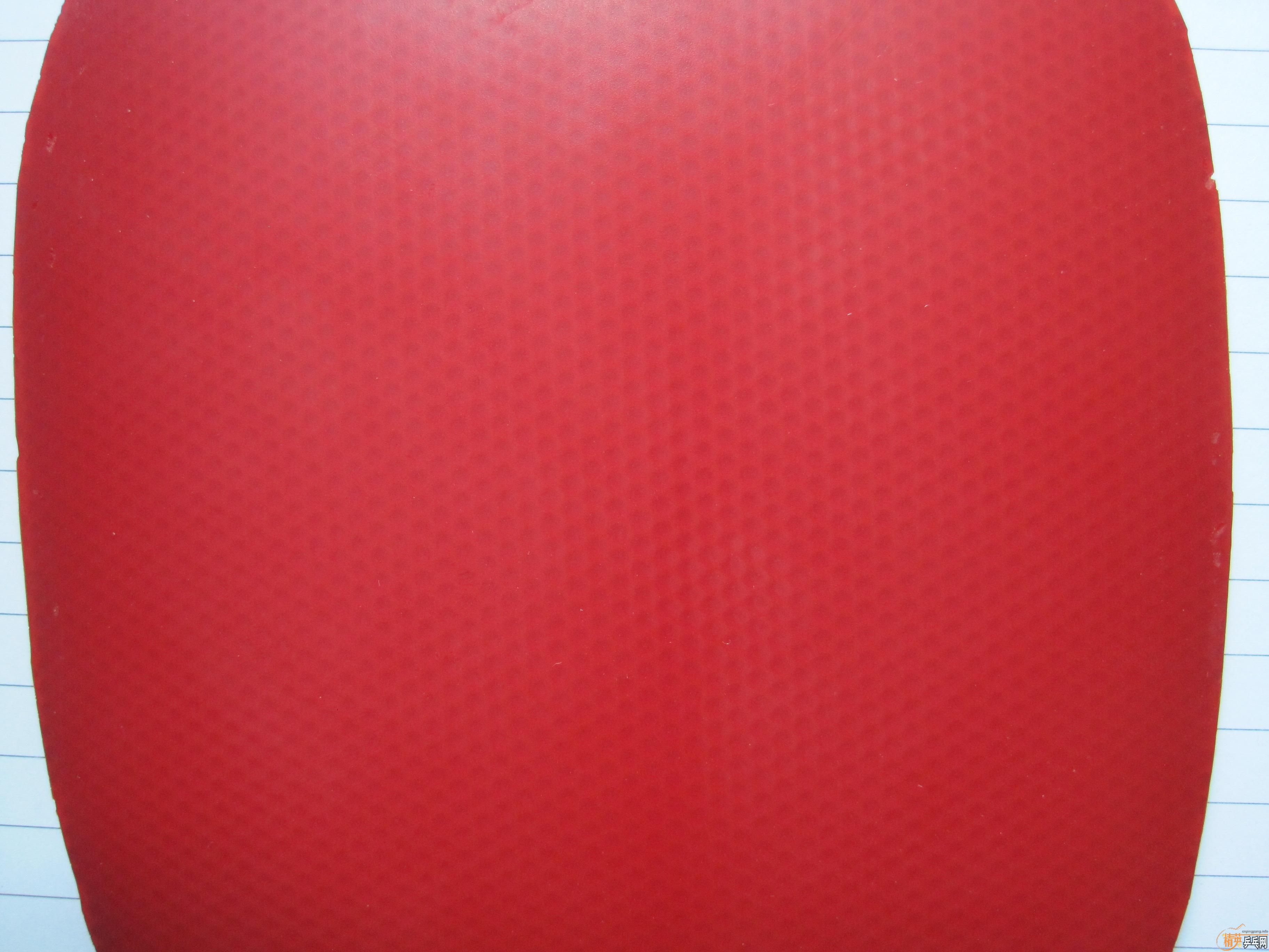 ����ֱ�׽����飨ROXON 500��F1��G3)