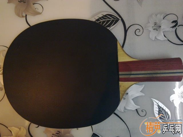 ���󵽺��� AMULTART���ֳ� ���ﺣΰ 9.5�� 280��˳��