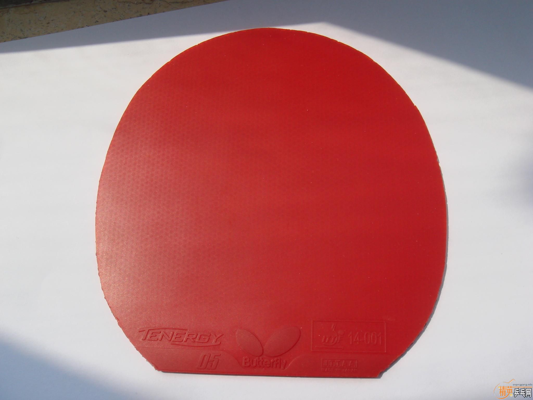 ���µ�T05�������220Ԫ