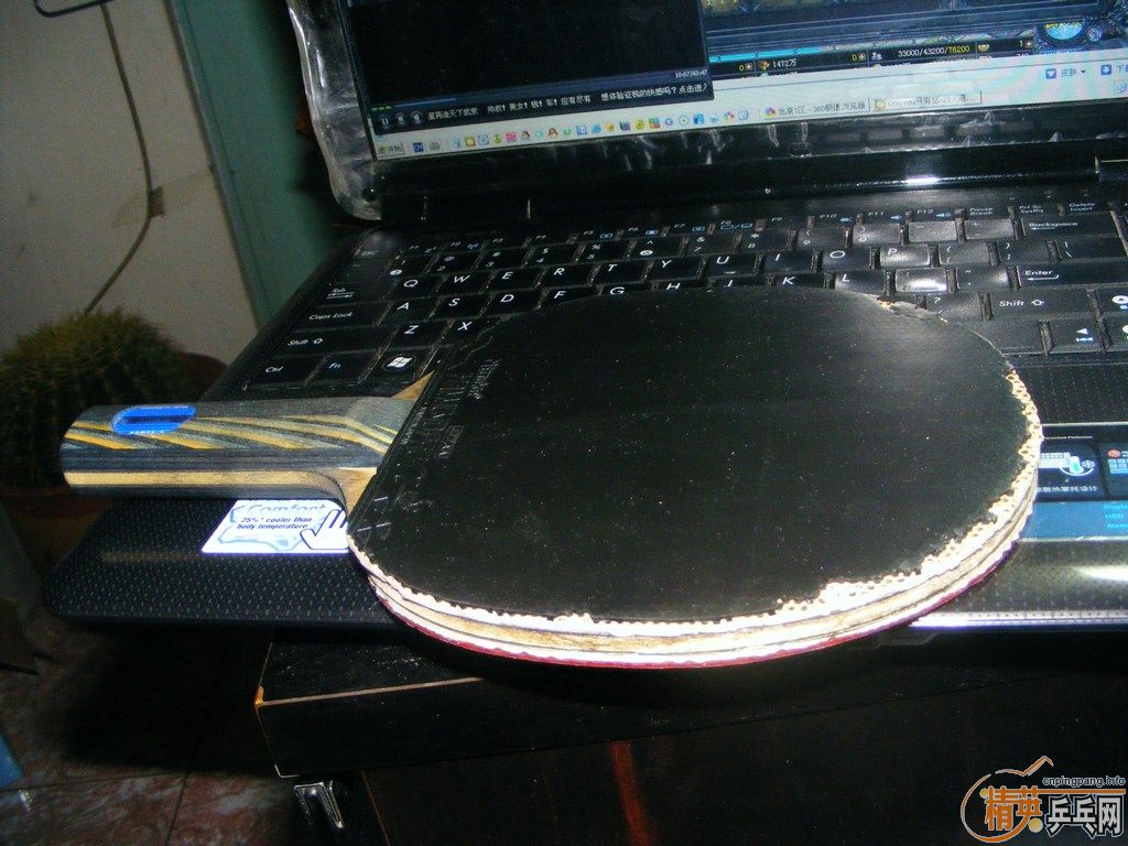 ������Eg ������  �ؼ�