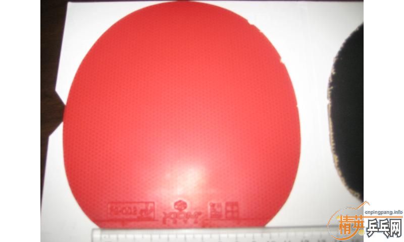 ��ʹ�����ܵĽ�̤���˴��