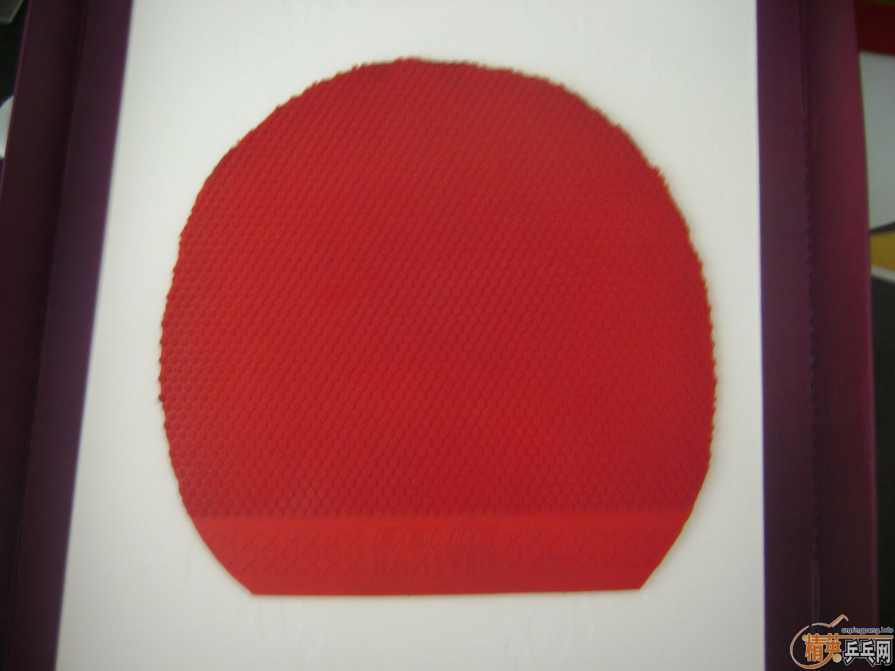 ����Ч����һŵ��,��ʡ3,�������������