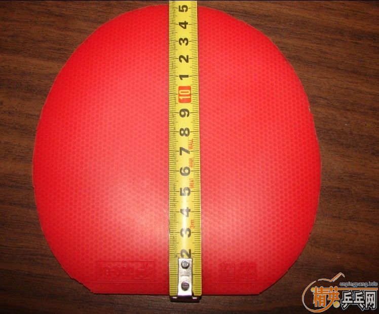 ���ͽ�̤����ɫ���ų��£�110���ʣ���