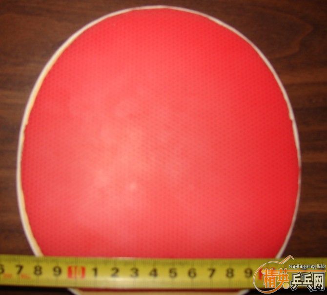 ���ͽ�̤����ɫ���ų��£�110���ʣ���