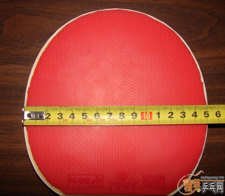 ���ͽ�̤����ɫ���ų��£�110���ʣ���