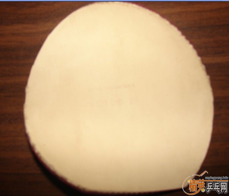 ���ͽ�̤����ɫ���ų��£�110���ʣ���