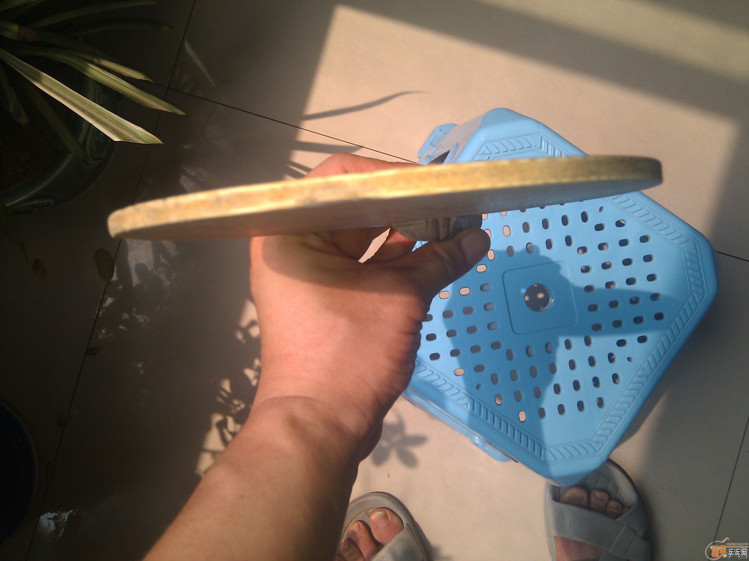 ˹�ٿ���5.4��ɱ��420����Ұ����