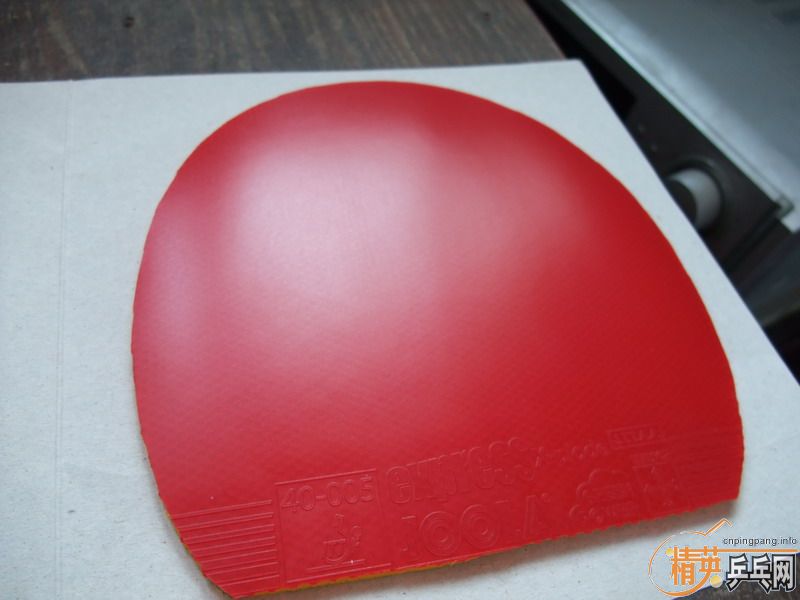 �� JOOLA �쳵���� �׽� ��ɫMAX=85Ԫ(�����)