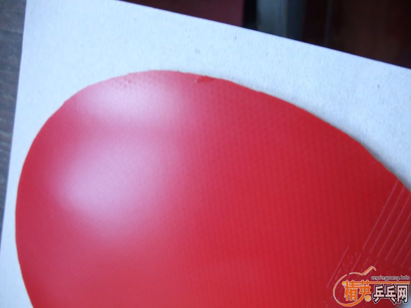 �� JOOLA �쳵���� �׽� ��ɫMAX=85Ԫ(�����)