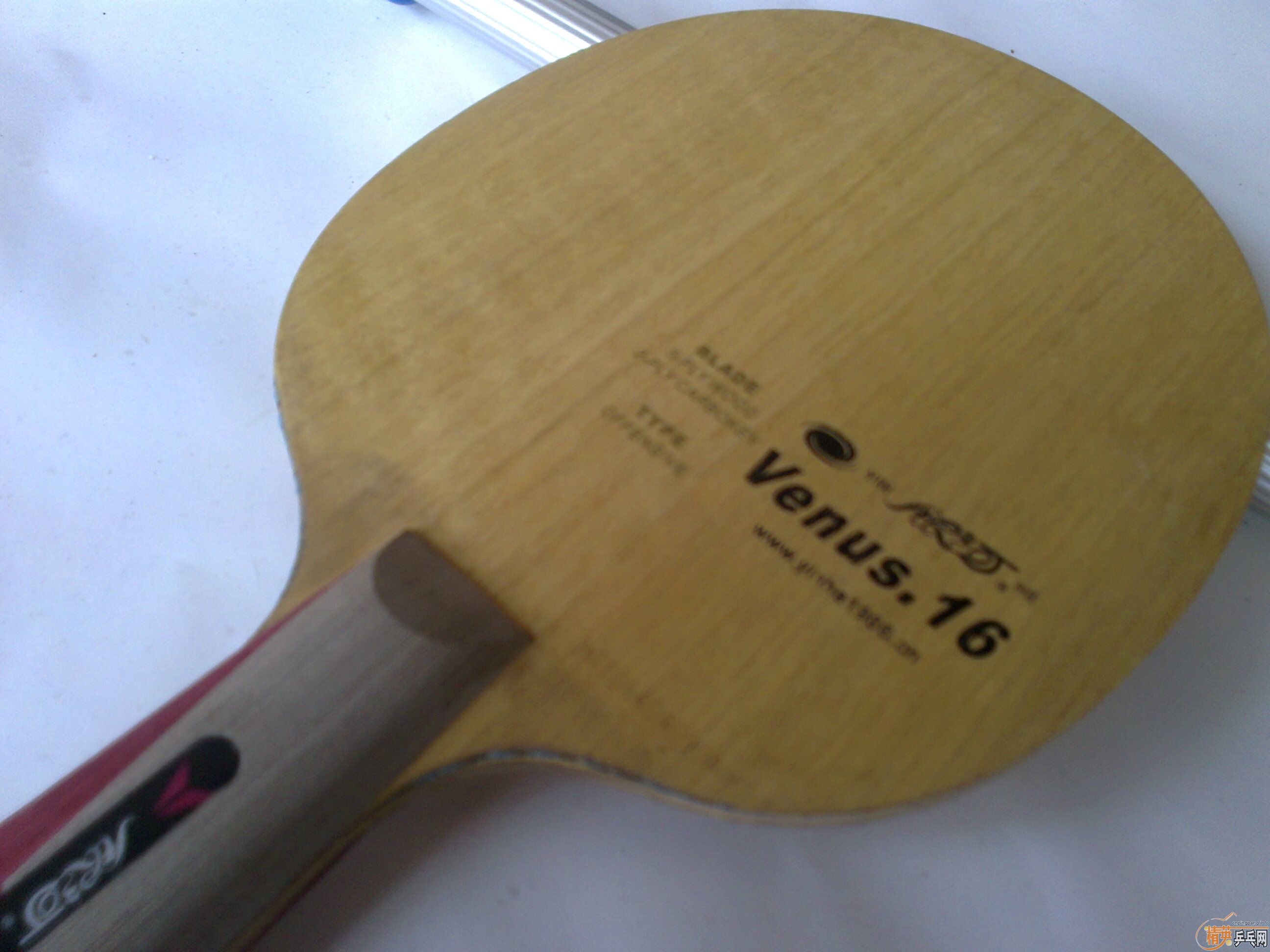 ����v-16ͦ�°廻��Ҳ��ֱ��