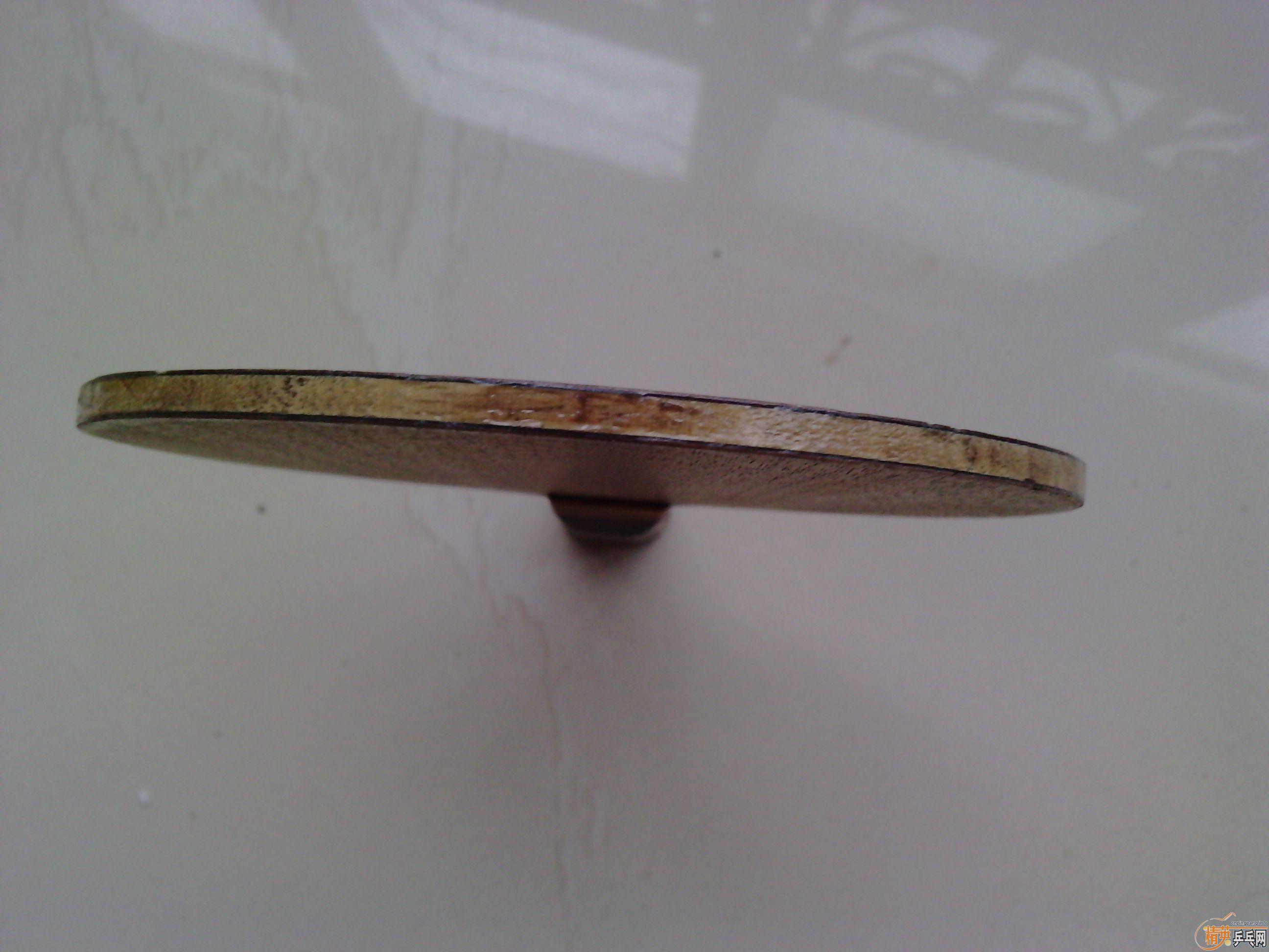 ---------�Ϻ�˫ϲ---------����ALC------------