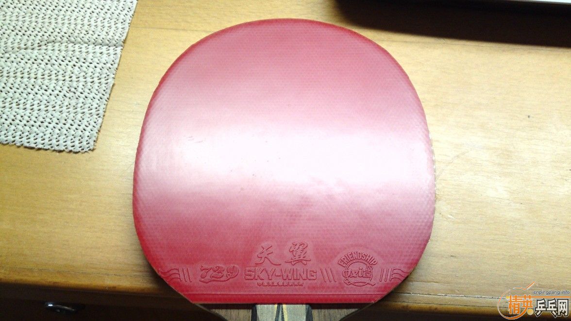 ~~~~~~~~~~��Ʒ05��ʡ����ճ����~~~~~~~~~~