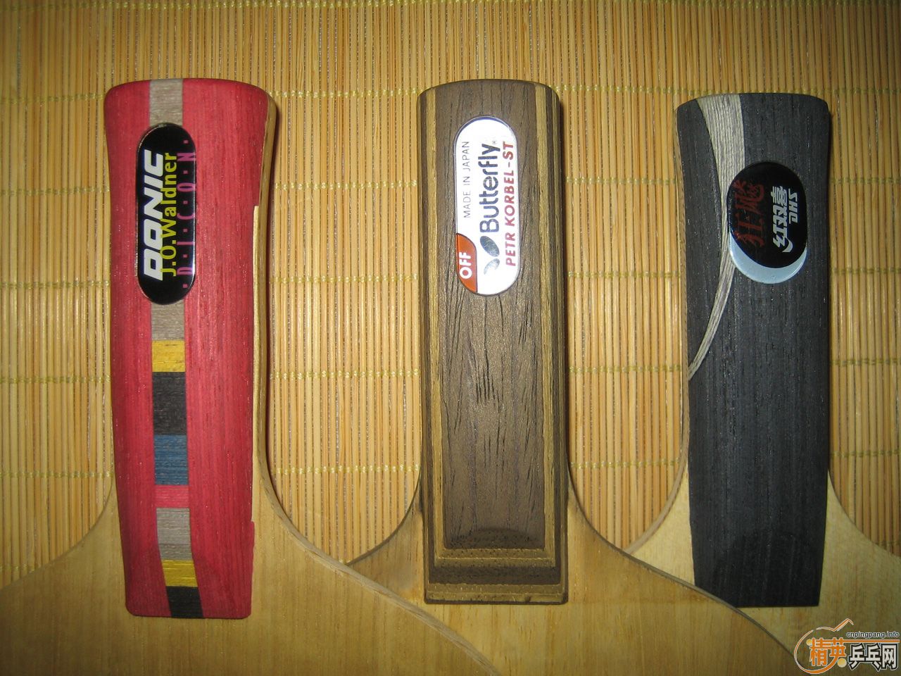 ANľLIAOC