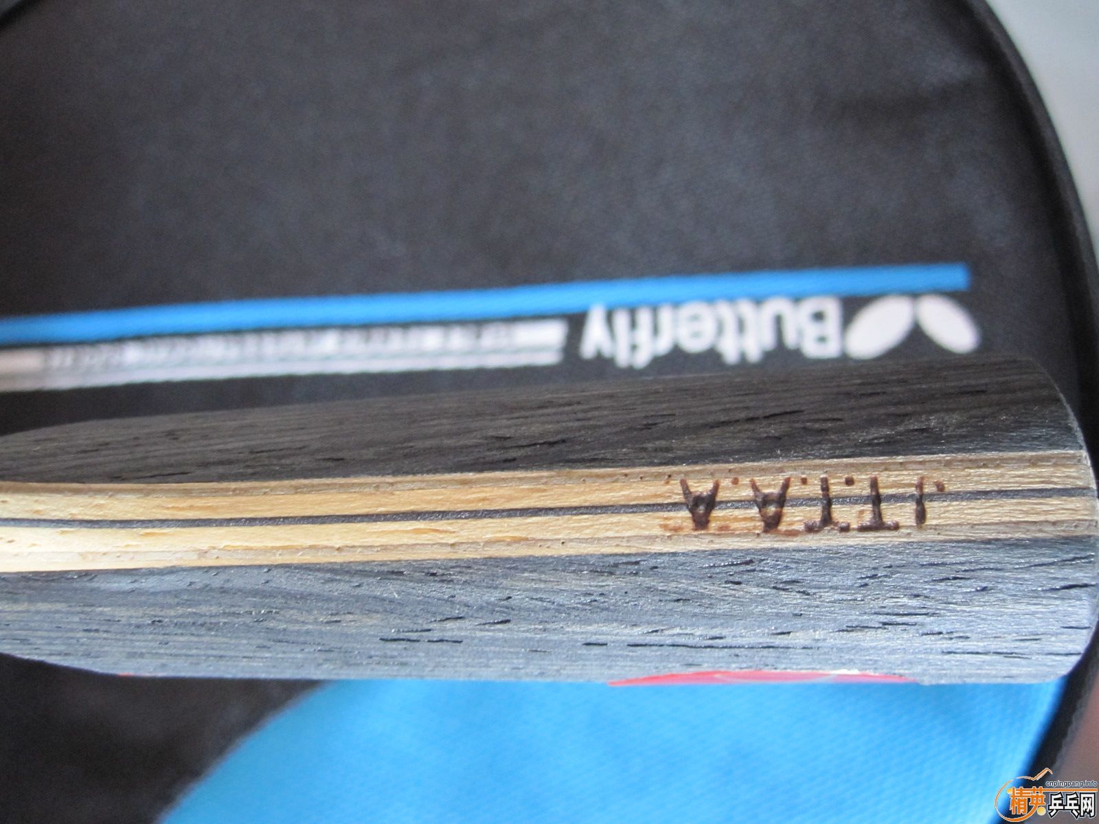 ��������YO���߻���ľ