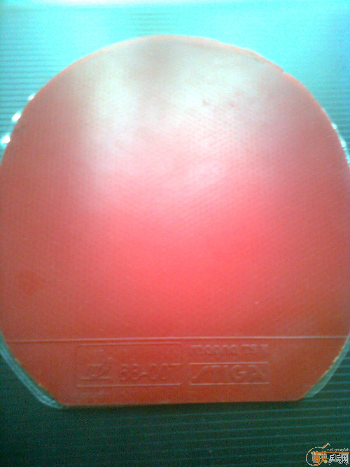 1HWd2sVM.jpg