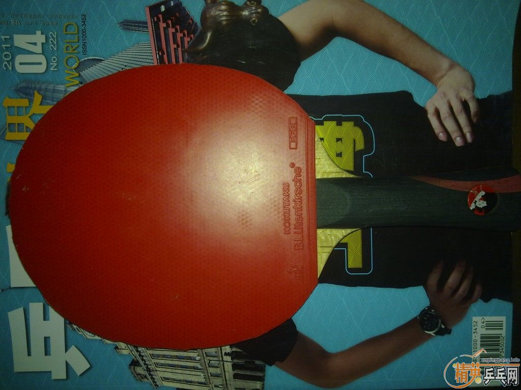 ������Ȧ��ɣ�qq2316446883