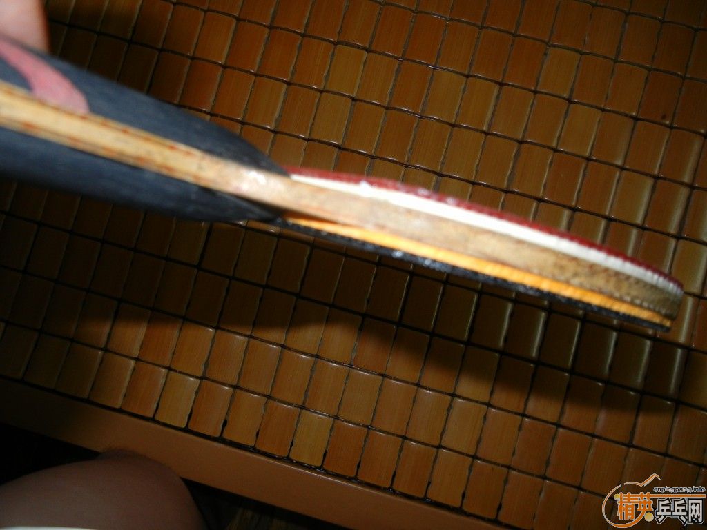 ������Ȧ��ɣ�qq2316446883