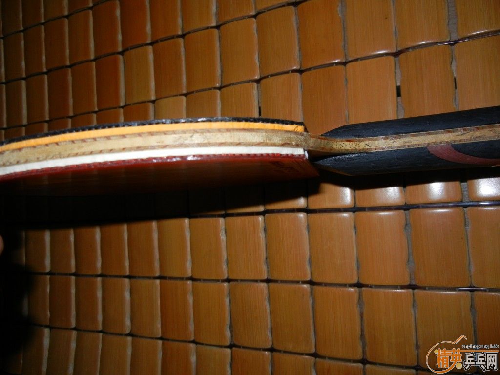 ������Ȧ��ɣ�qq2316446883