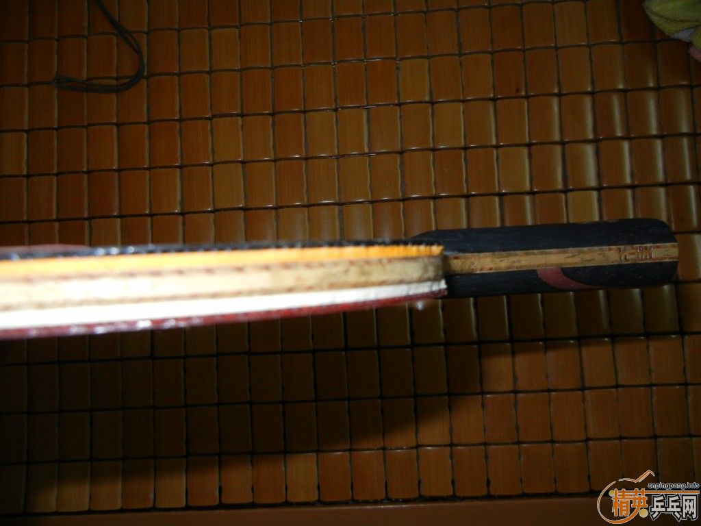 ������Ȧ��ɣ�qq2316446883