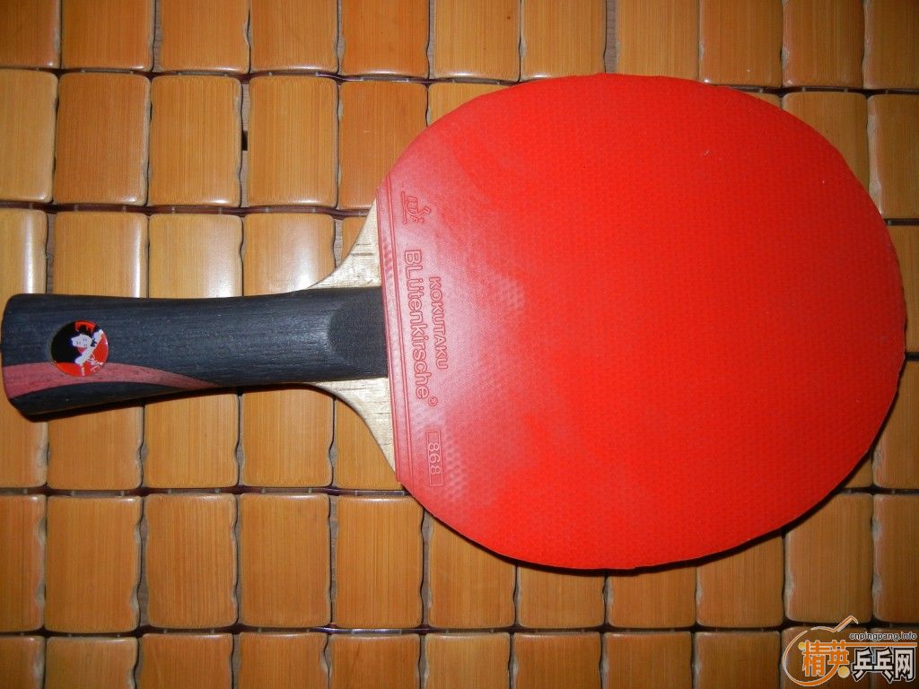 ������Ȧ��ɣ�qq2316446883