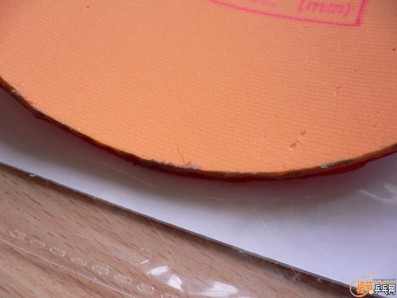 ��ɫʡ�� ��ɫTSP����