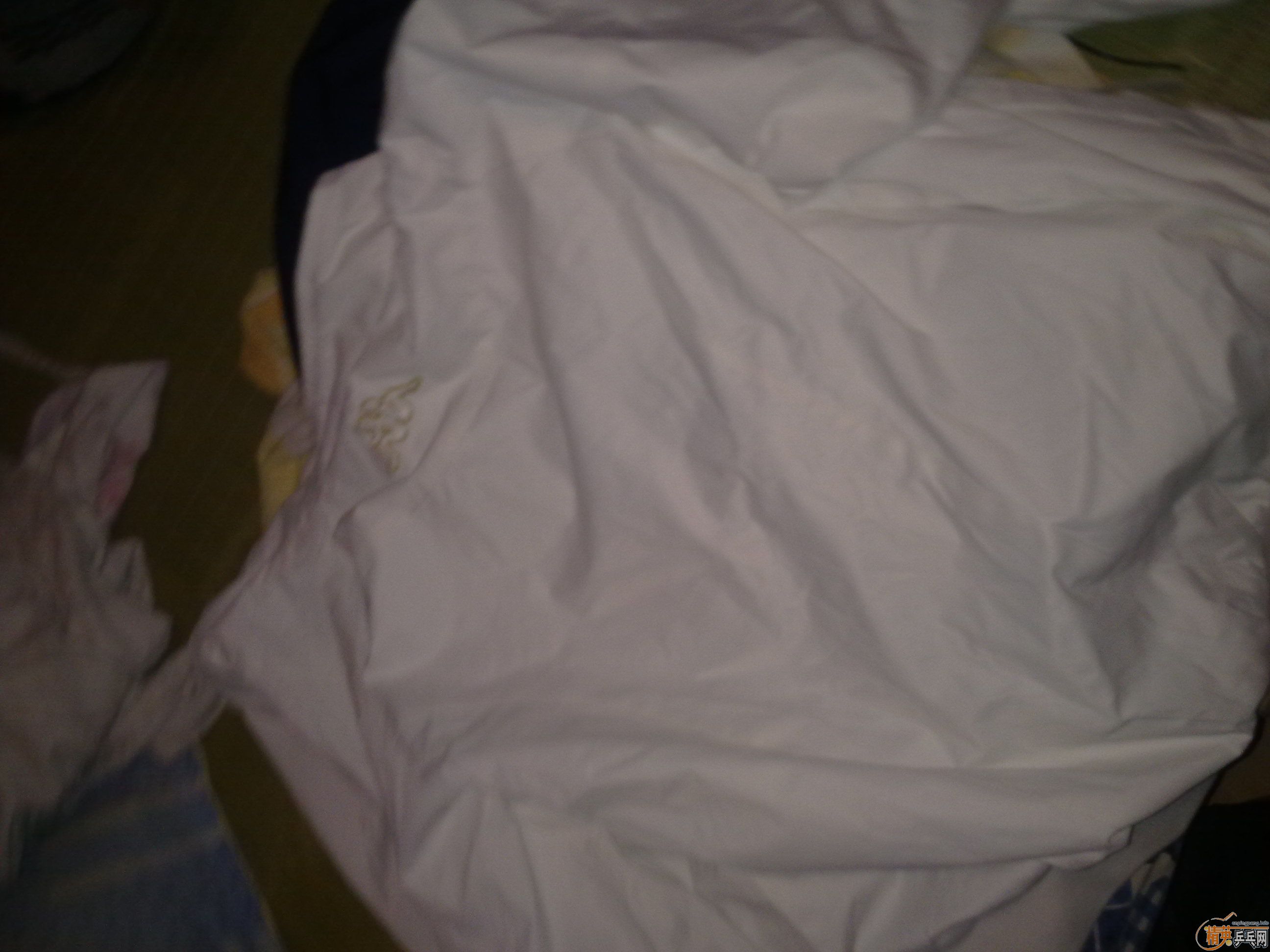 ��1��KAPAA��ɫ�������пˣ���