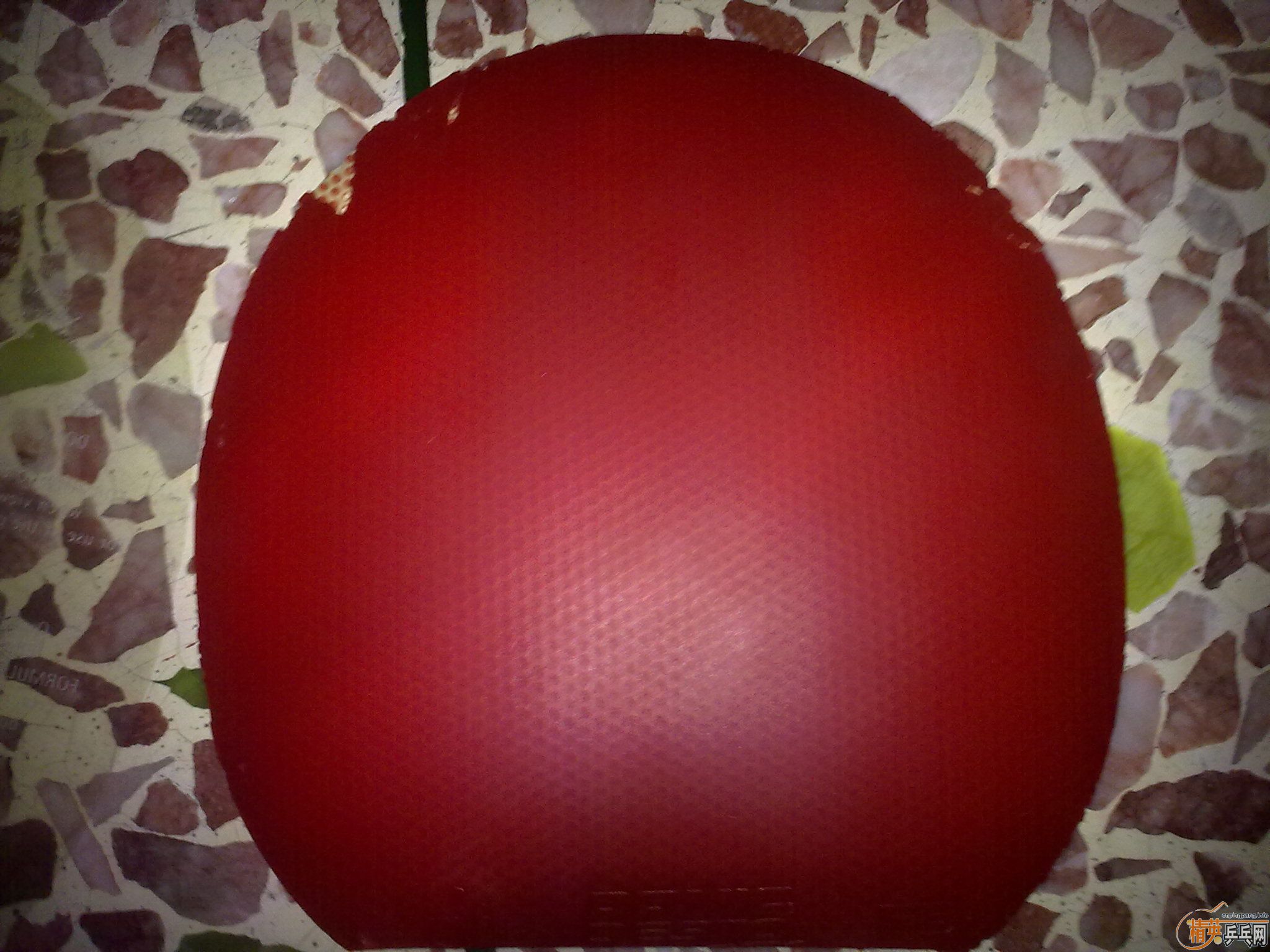 ���¿���������ST�Ͽ�