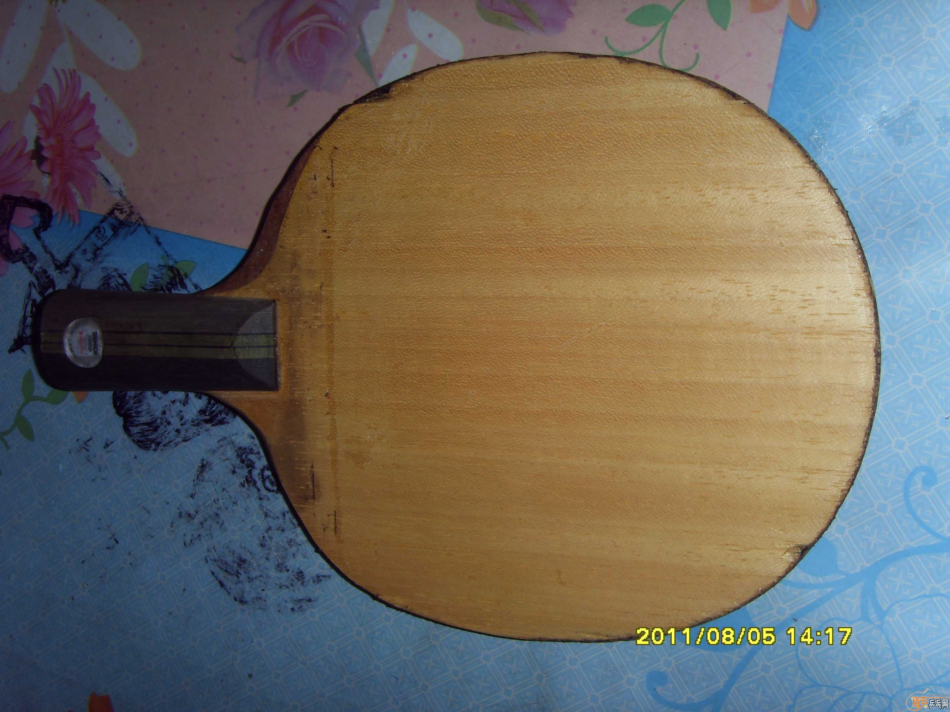 ���ƺ�����˹�ٿ���729�������л������Ǻǡ�