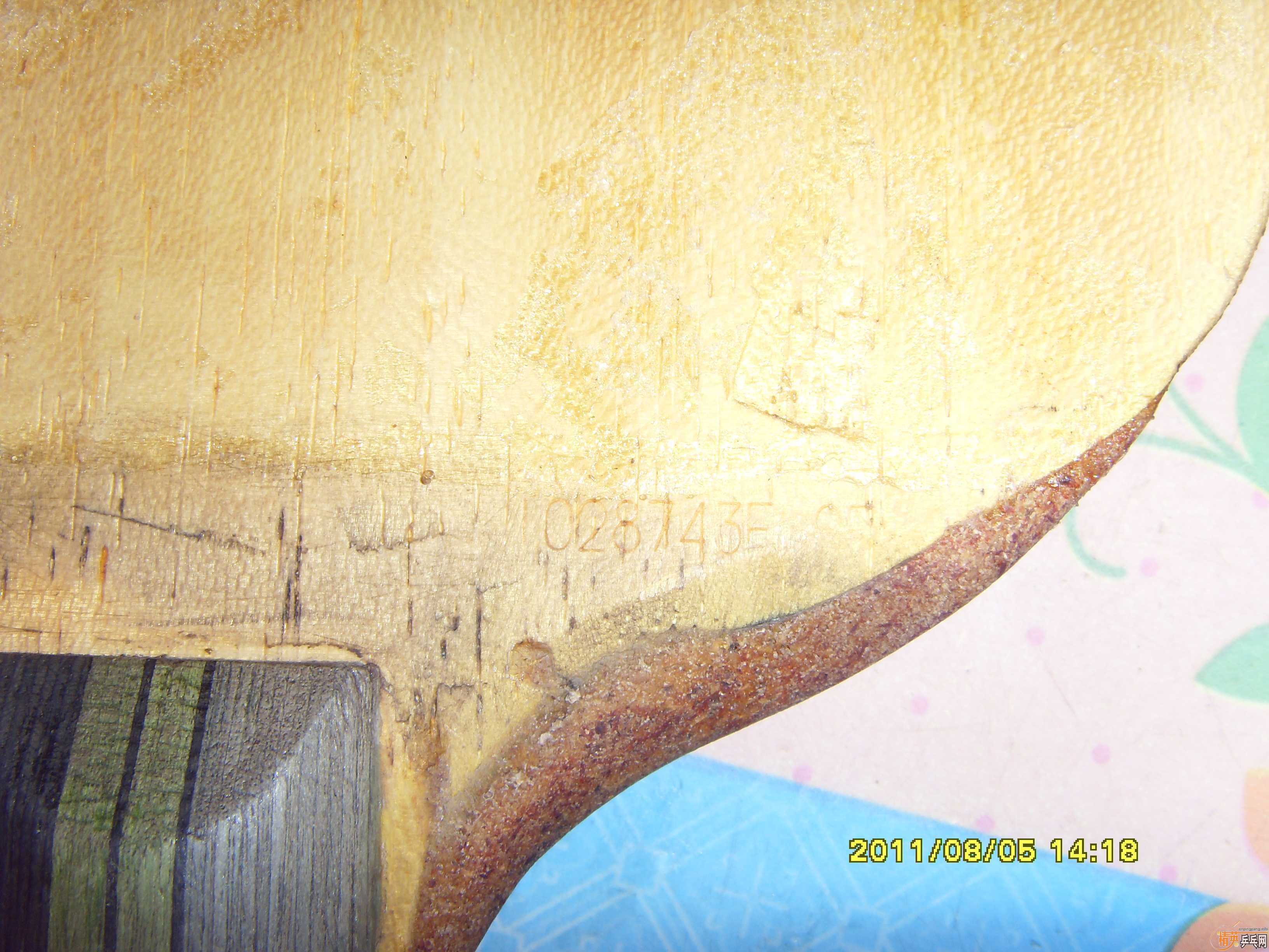 ���ƺ�����˹�ٿ���729�������л������Ǻǡ�