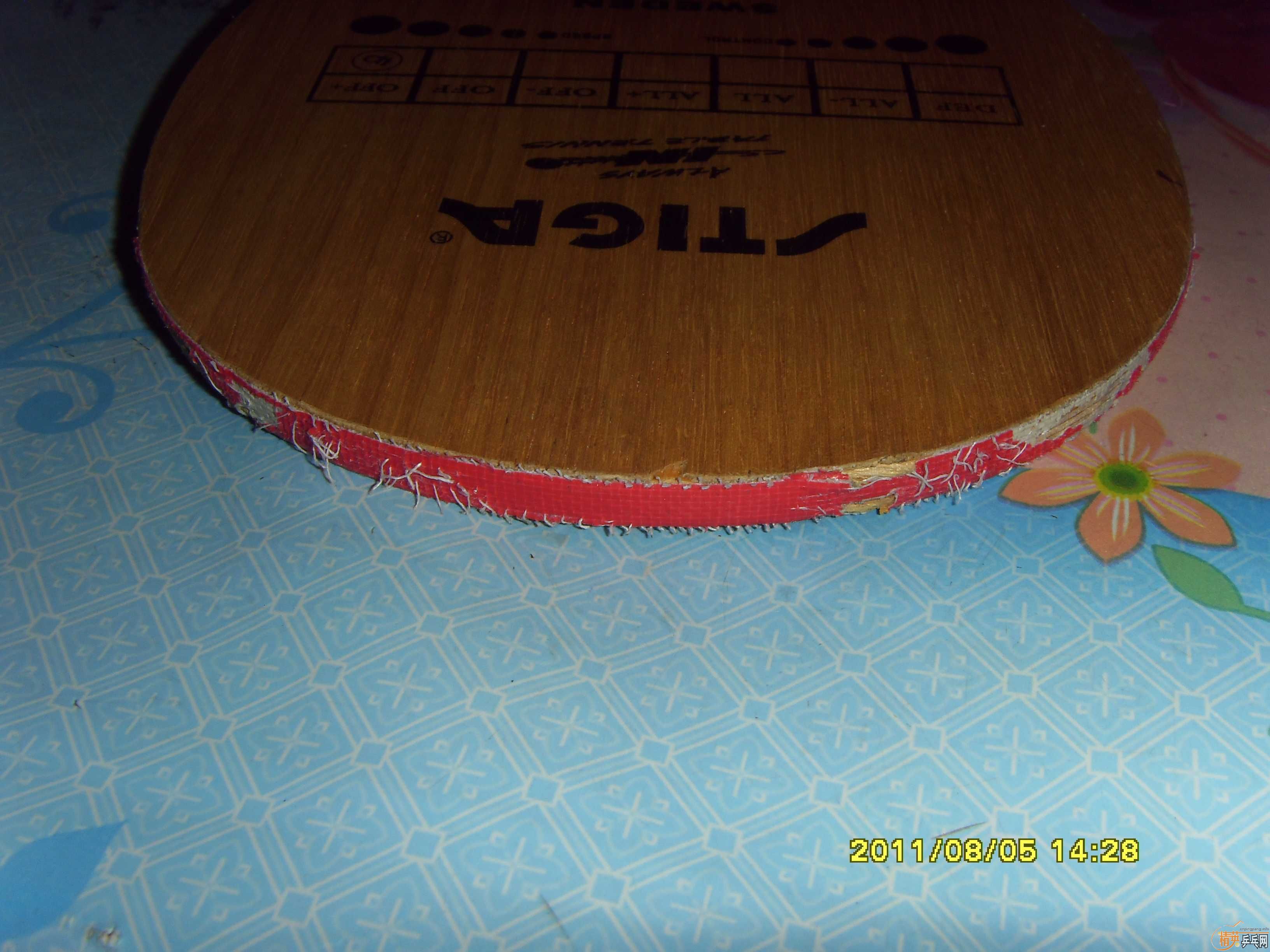 ���ƺ�����˹�ٿ���729�������л������Ǻǡ�