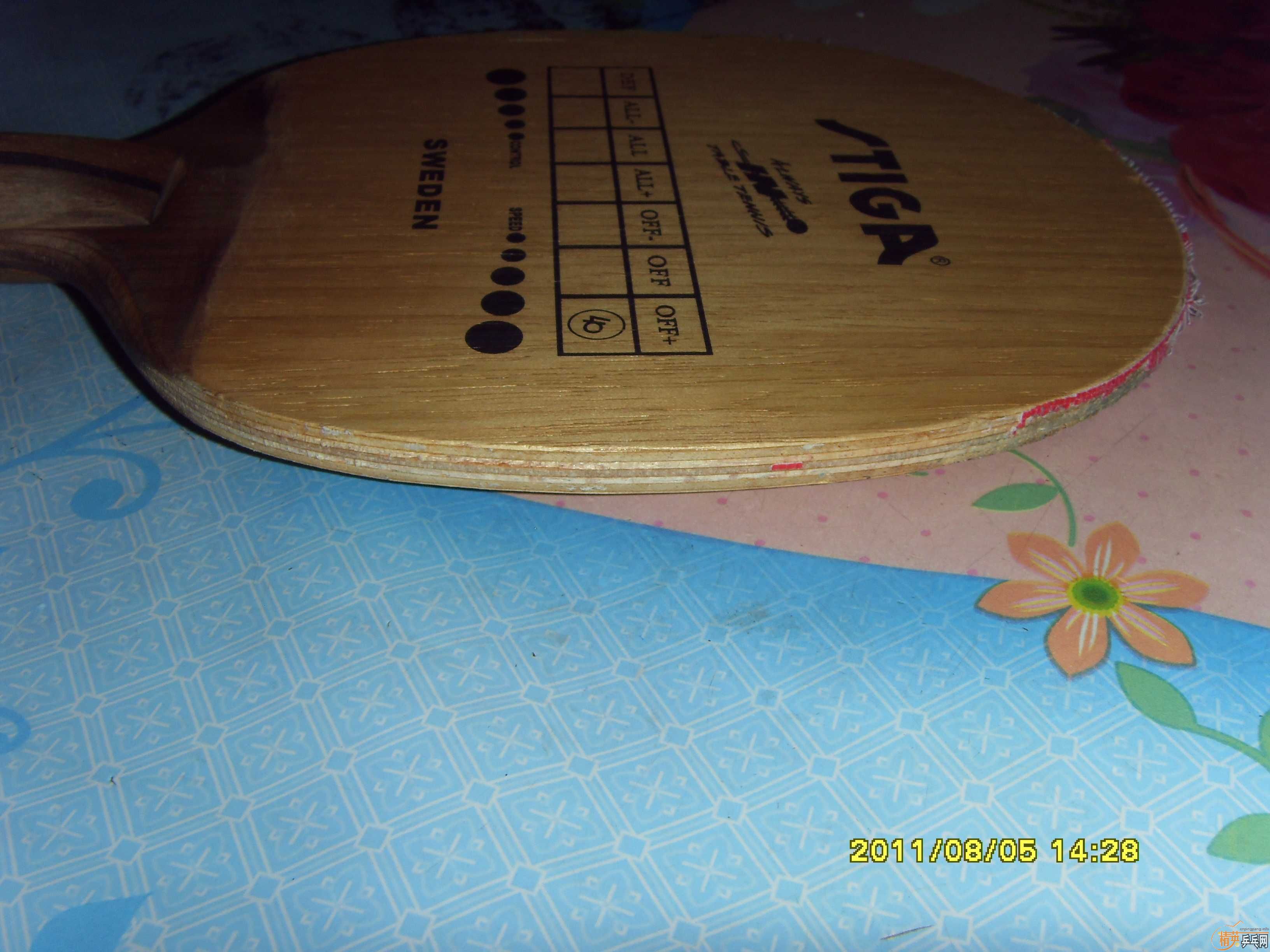 ���ƺ�����˹�ٿ���729�������л������Ǻǡ�