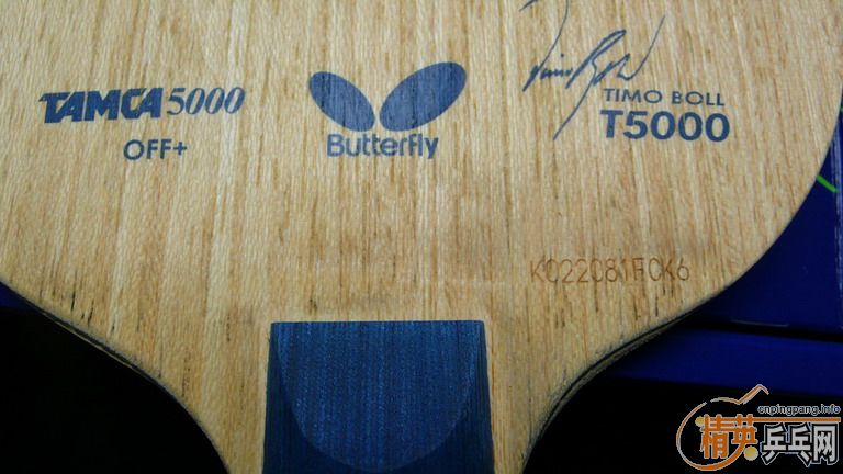 ֣TIMO BOLL T5000-CS   850ʸͼ