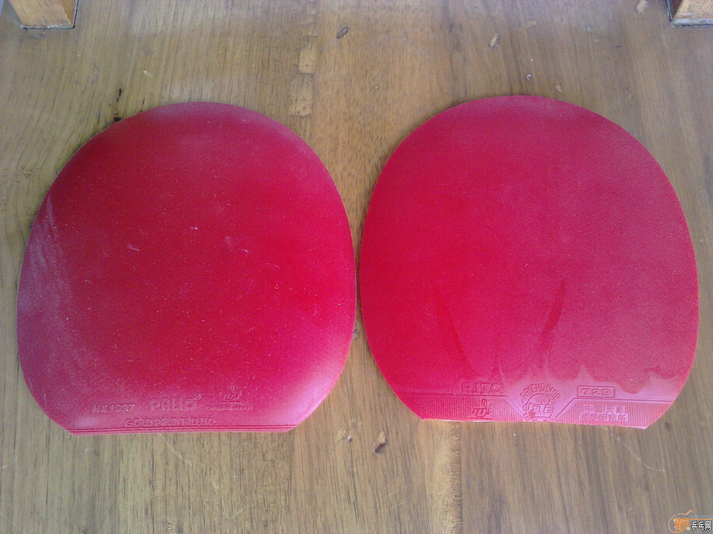 �Ϻ�˫ϲ������ALC������������ruits����������ϲ�������Ƥ�������F3��TIBHAR SINUS��paliohk1997,��ͨ��729