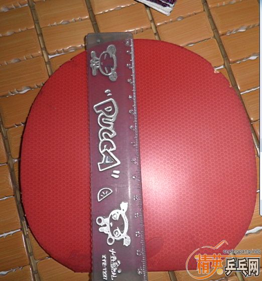 ���FX  ���������� 30      �����