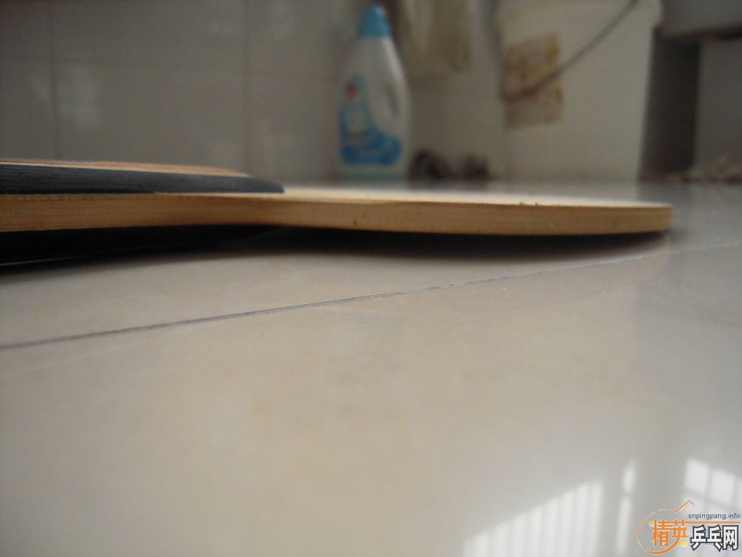 ������������ SEPTEAR  ,9.5������,��֧����