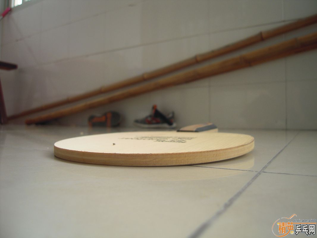 ������������ SEPTEAR  ,9.5������,��֧����