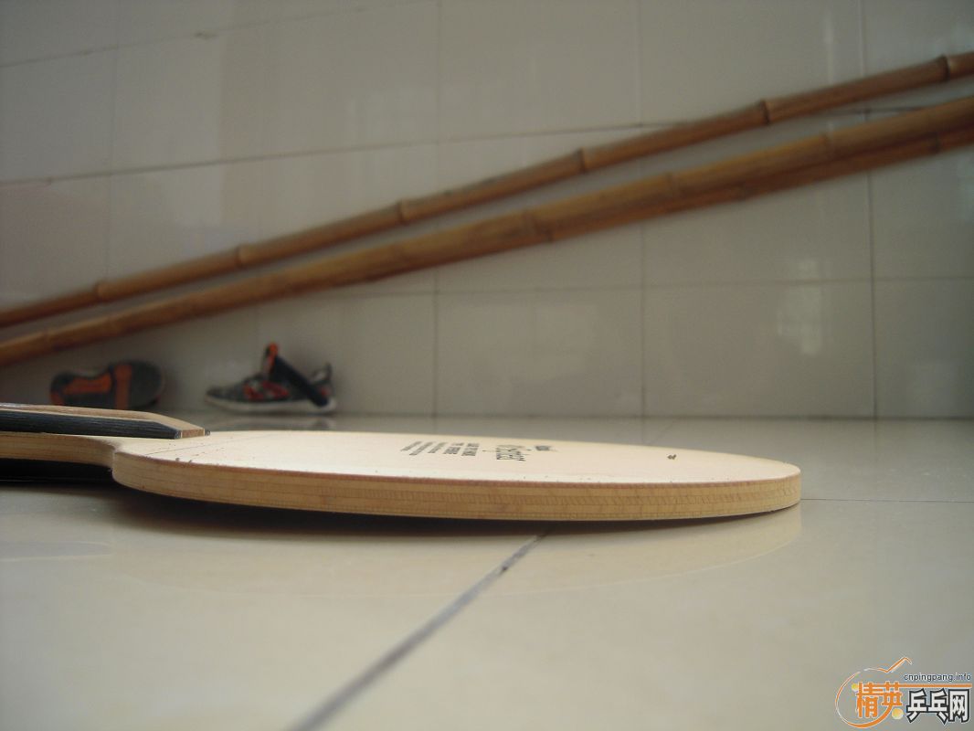 ������������ SEPTEAR  ,9.5������,��֧����