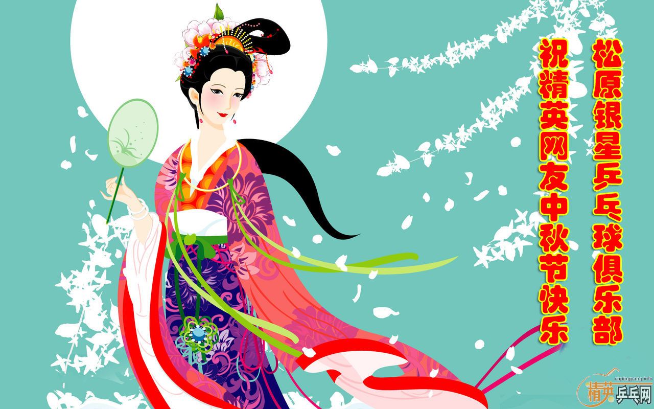 ��һ��˹�ٿ� Stiga ��˹̼���� FL