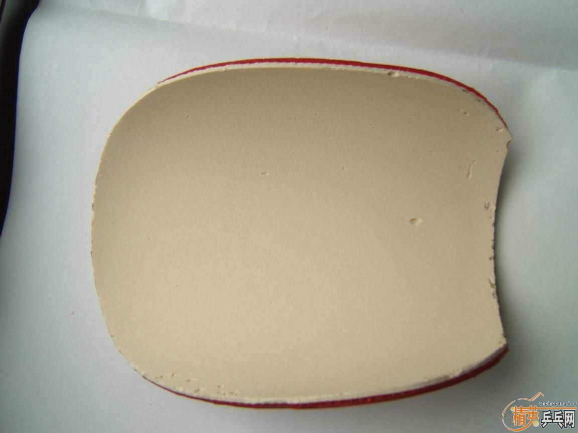 �����DONIC COPPA X1 ����X1 ��ڸ�һ�ţ����180Ԫ