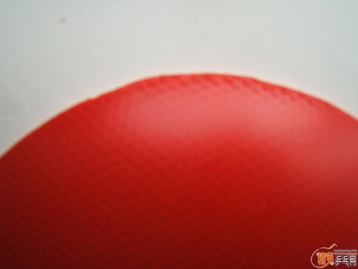 �����DONIC COPPA X1 ����X1 ��ڸ�һ�ţ����180Ԫ