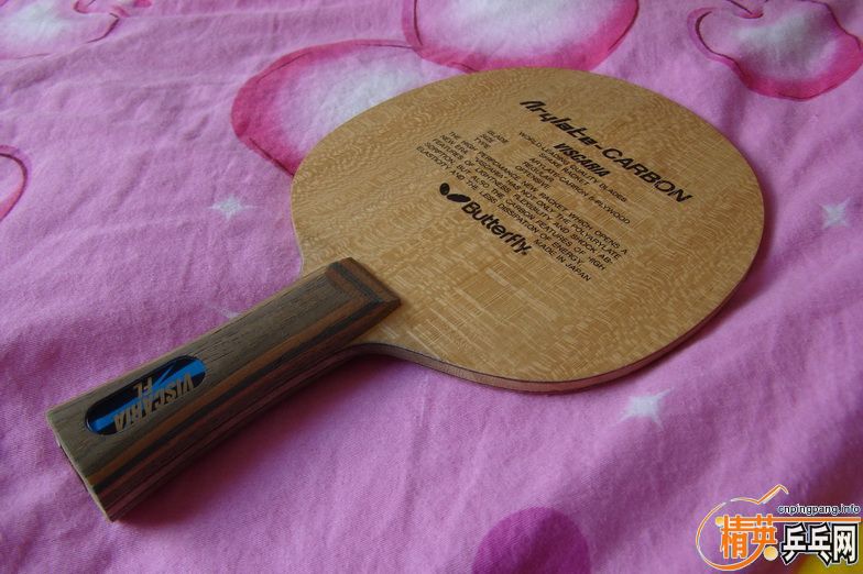 ���� 92��������ͭ��viscaria