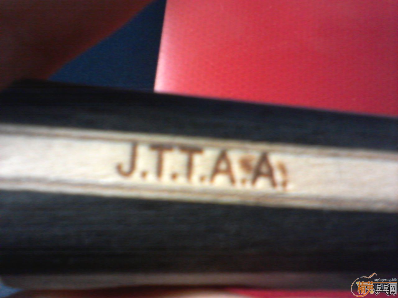 ��Yasaka ����̼��