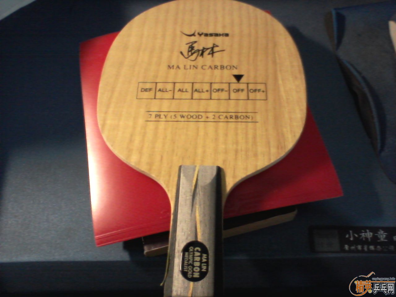 ��Yasaka ����̼��