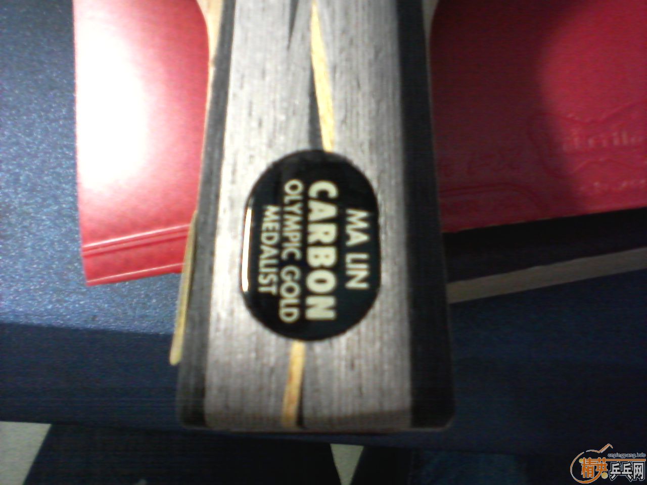 ��Yasaka ����̼��