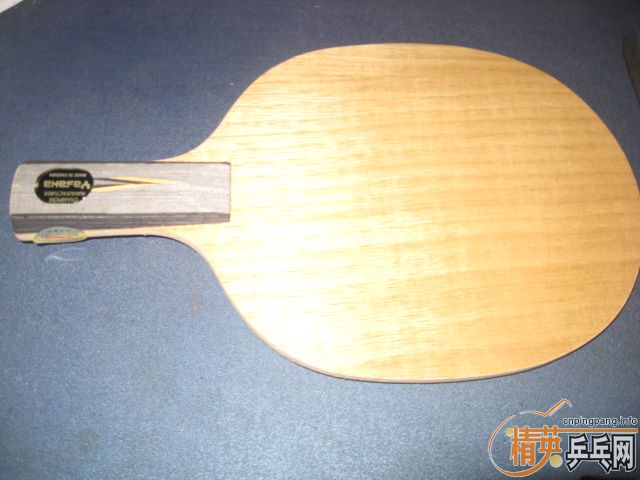 ��Yasaka ����̼��