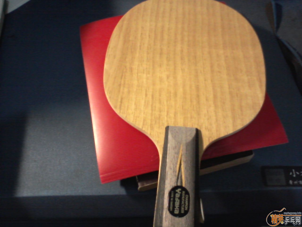 ��Yasaka ����̼��