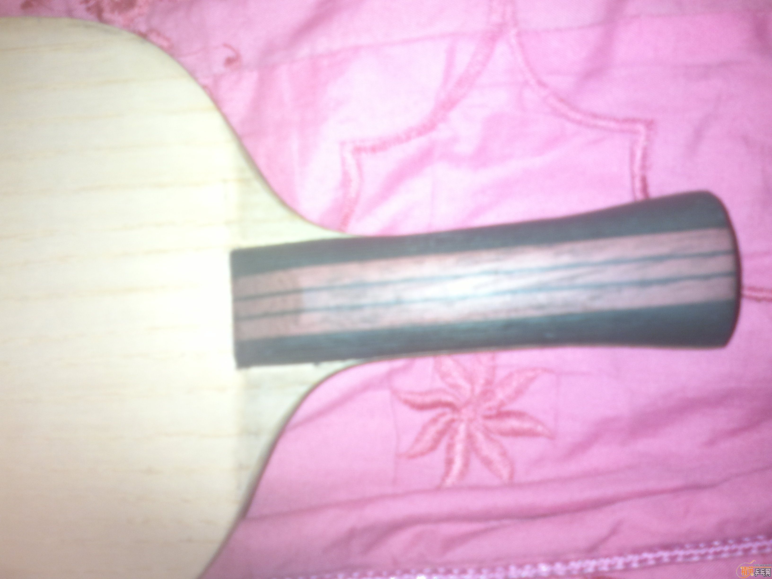 ���С���ٻ���