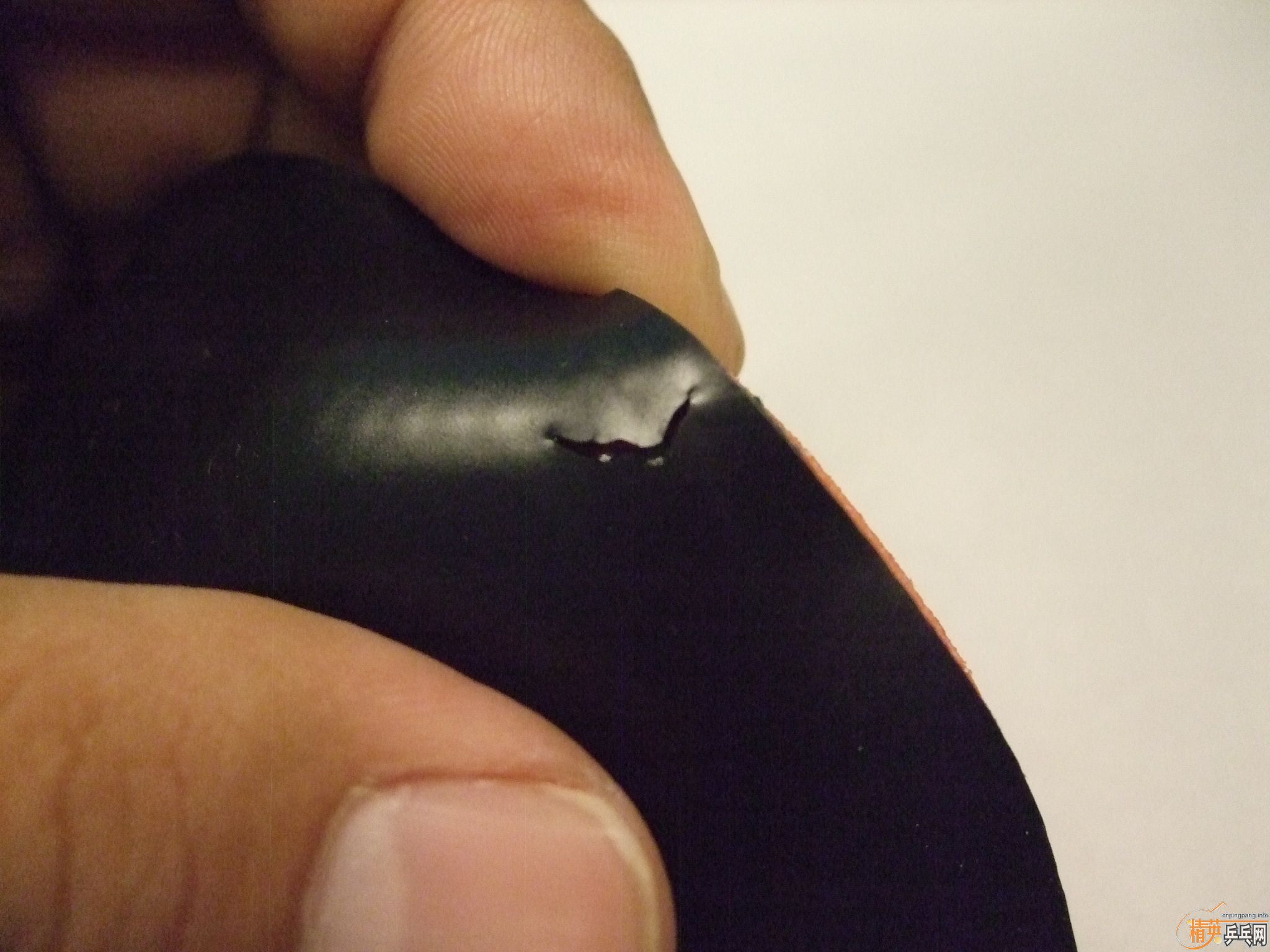 500�������Լ������ף�7�ţ�