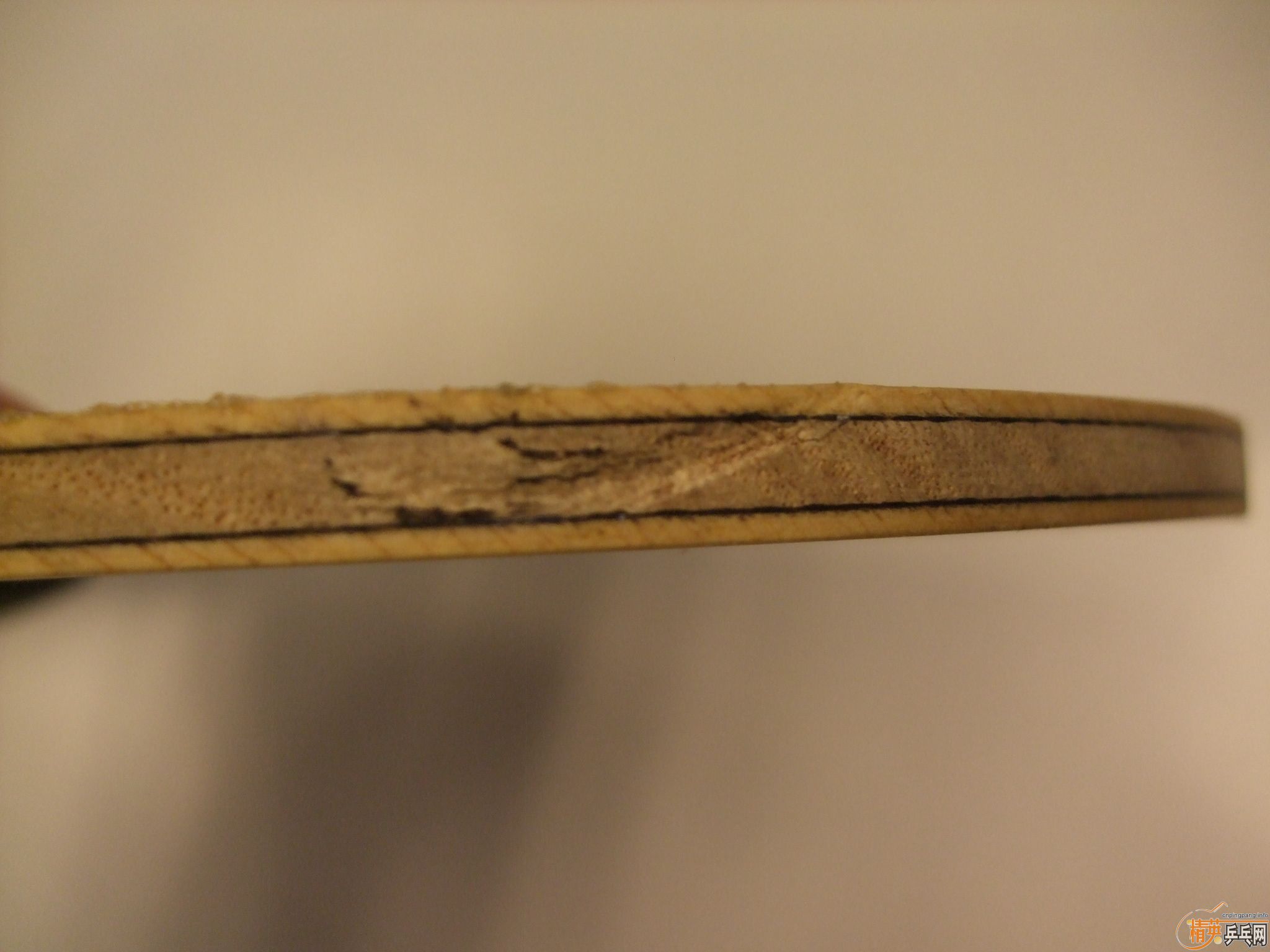 350����ų��½���˹��ͼ����̼��